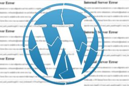 Kesalahan Yang Sering Dilakukan Pengguna Situs WordPress