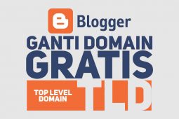 Perlukah Menggunakan Domain TLD Untuk BlogSpot